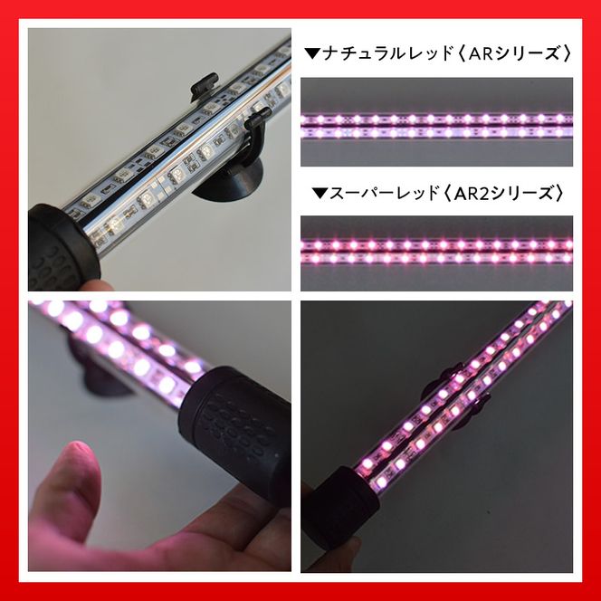 変化を体感!水を赤くせず、紅龍だけ美しく魅せる水中LEDライト|AR120-EX［172C19］紅龍 ナチュラルレッド 赤 水中 アロワナ 水槽ライト テンニングライト LED ライト 照明 水中照明 光 綺麗 強化ガラス 吸盤 1年保証 簡単 設置 でんらい インテリア 雑貨 愛知県 小牧市 送料無料