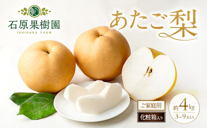 梨 2026年 先行予約 ご家庭用 あたご梨 3～9玉入り約4kg 化粧箱【11月下旬～12月中旬頃発送】 ナシ なし 岡山県産 国産 フルーツ 果物 石原果樹園 