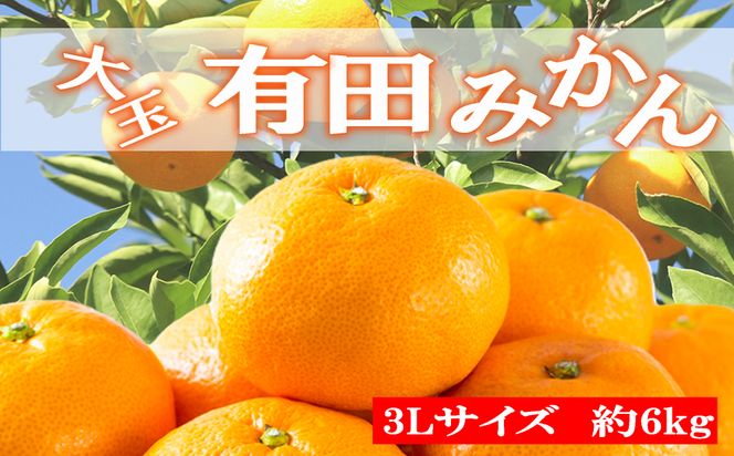 [秀品]和歌山有田みかん　6kg(3Lサイズ) ※2026年11月中旬～2027年1月中旬頃順次発送【tec836A】