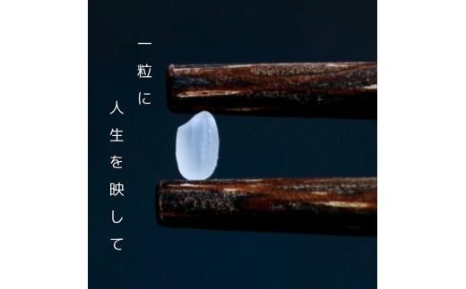 令和6年産 新米 京都府産 コシヒカリ 10kg ｜ 米 お米 コメ 白米 精米 ごはん ご飯 京都丹波米 ※2024年10月上旬以降順次発送予定 ※北海道・沖縄・離島への配送不可