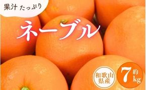 ネーブル 約7kg/サイズおまかせ　※2025年1月中旬～2025年2月上旬頃に順次発送予定(お届け日指定不可)　紀伊国屋文左衛門本舗【kztb430A】