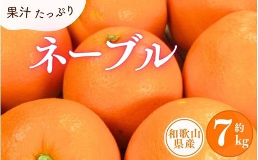 ネーブル 約7kg/サイズおまかせ　※2025年1月中旬～2025年2月上旬頃に順次発送予定(お届け日指定不可)　紀伊国屋文左衛門本舗【kztb430A】