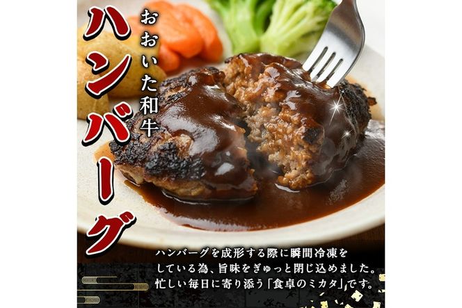 おおいた和牛 生 ハンバーグ (計1.6kg・160g×10個) 牛肉 肉 生ハンバーグ 惣菜 おかず 黒毛和牛 和牛 ブランド牛 冷凍【HE08】【(株)吉野】