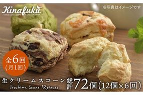 【全6回定期便】スコーンのイメージ変えてみませんか？定番スコーン12個セット 《糸島》【キナフク】[AFA014] 洋菓子 卵不使用 スコーン お菓子 個包装 セット スイーツ詰め合わせ スイーツ 焼菓子スイーツ 焼き菓子スイーツ スイーツセット 焼き菓子洋菓子 焼き菓子卵不使用 焼き菓子スコーン 焼き菓子お菓子 焼き菓子ご家庭用 焼き菓子個包装 焼き菓子セット 焼き菓子詰め合わせ 焼き菓子人気 焼き菓子定期便