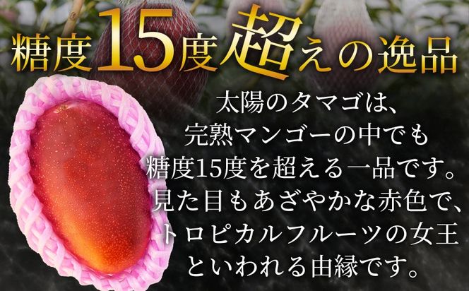 ＜宮崎県産 太陽のタマゴ A等級 A5Lサイズ×1玉（約700g）＞2025年4月下旬～2025年6月下旬迄に順次出荷【 太陽のタマゴ 完熟マンゴー 完熟 マンゴー フルーツ トロピカルフルーツ 果物 くだもの おいしい 美味しい 甘い あまい 】【b0912_ja】