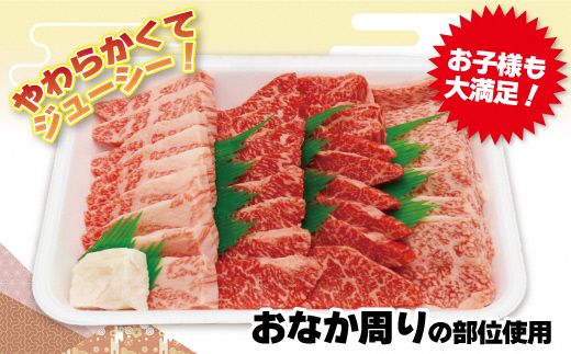 JAむなかたよりお届け！博多和牛焼肉用600g【ほたるの里】_HA0952