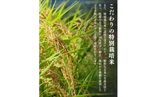 平泉町産 特別栽培米ひとめぼれ 5kg 農薬50%削減 体に優しい 棚田のお米 【令和6年産新米】 【米 お米 ひとめぼれ 平泉 米 白米 こめ 岩手 東北 日本農業遺産】【mih400-hito-5B】