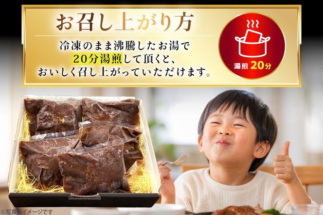 AJ638 デミグラスハンバーグ290g 5パック [ 牛肉 豚肉 国産 合挽 ギフト 御中元 御歳暮 湯煎 竹林 つばきグリル 株式会社プラス1 長崎県 島原市 ]