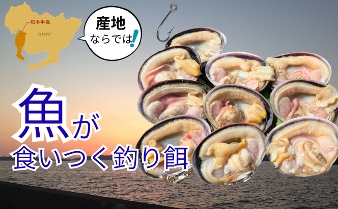 岬だよりの＜天然＞大あさり釣り餌用 6個入り×4袋セット