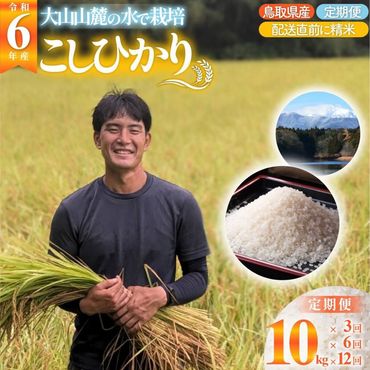 【6回定期便】令和6年産こしひかり（精米）　10kg×6回     離島不可（北海道、沖縄本島は配送可能） ※お申し込みから14日以内に発送