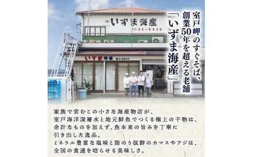 カマス 干物 定期便 トロカマス干物8枚セット｜高知県室戸市 冷凍90日目安 偶数6回/奇数6回/毎月12回