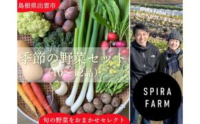 【SPIRA FARM】季節の野菜セット10～12品目入り《農薬・化学肥料は畑での栽培期間中不使用》出雲の自然の恵みを畑からお届け！［出雲 季節の野菜 野菜セット おまかせ 詰め合わせ  新鮮野菜 送料無料 ふるさと納税］ 322032_FY005