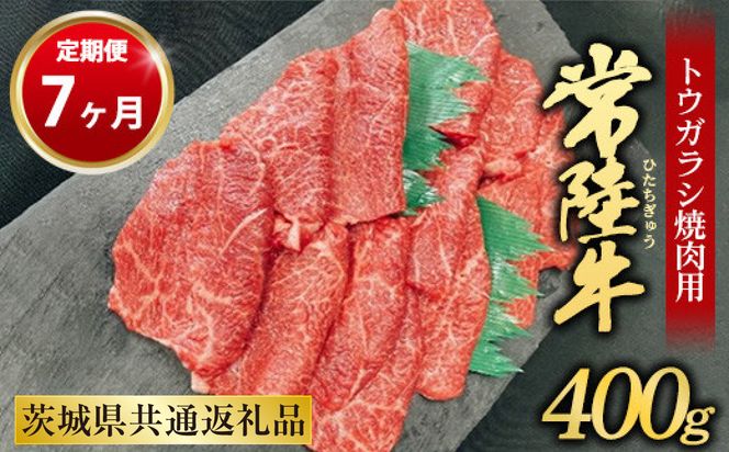 【定期便 7ヶ月】【希少部位】常陸牛トウガラシ焼肉用400g（茨城県共通返礼品 茨城県産）