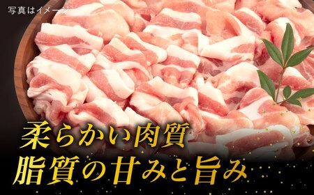 【全12回定期便】糸島 華豚 ロース 肉 スライス しゃぶしゃぶ 用 600g 糸島市 / 糸島ミートデリ工房 [ACA328]