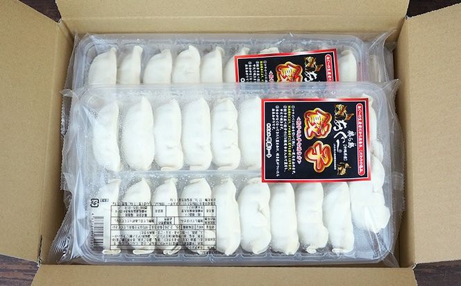 【3ヵ月定期便】　【美ら島あぐー】餃子セット1920ｇ【480g×4パック】 あぐー もっちり 沖縄 大宜味村 豚肉 小分け 国産 おつまみ こだわり ぶた アグー 加工品 おいしい 美味しい 取り寄せ 豚 肉 冷凍 まろやか 旨味