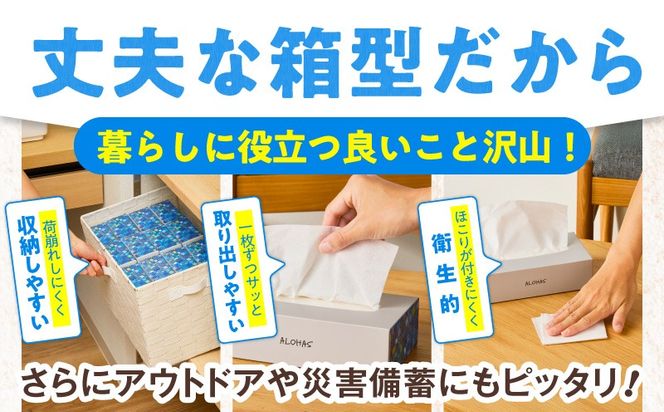 010B1962 ボックスティッシュ 50箱×300枚(150組)【生活用品 まとめ買い 日用品 必需品 紙 常備品 備蓄 防災 オフィス ティッシュペーパー てぃっしゅ ティッシュ】