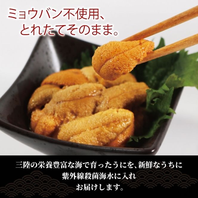 生ウニ 300g ミョウバン不使用 生うに 三陸産 国産 岩手県産 天然 キタムラサキウニ ウニ丼 刺身 雲丹 冷蔵 災害 震災 被災 火災 支援 三陸 大船渡市 岩手県 [56500456_1]