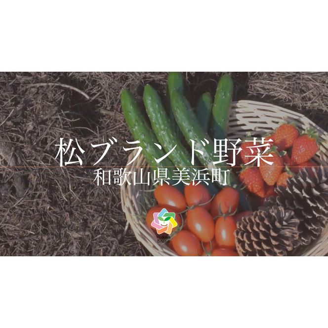 【煙樹の松野菜ブランド】
松とまと（アイコ）松きゅうりセット 2025年11月中旬～2026年6月上旬頃に順次発送予定