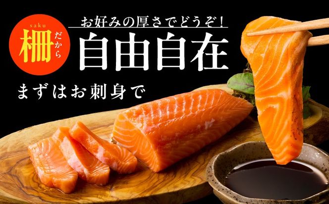 015B288 北極圏サーモン ポーション 1kg【高級 小分け 海鮮丼 人気 オススメ 小分け 冷凍 簡単調理 一人暮らし】