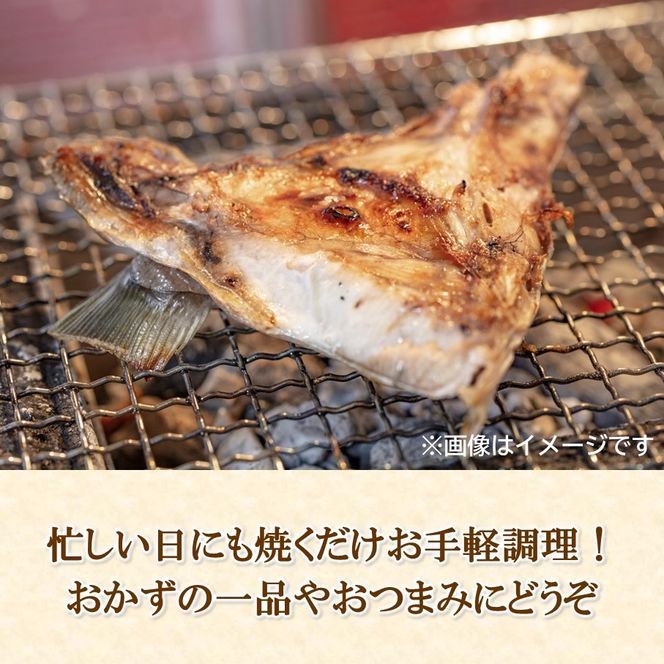 【選べる容量】大分県産ブリカマ 一夜干し_2661R