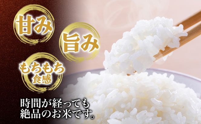 天水の恵米 ミルキークイーン 白米 5kg お米 低アミロース米 国産 白米 ご飯 もちもち 柔らかい お弁当 おにぎり らんざん営農 ギフト 贈り物 嵐山町 埼玉県