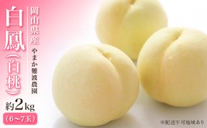 桃 【 2026年 先行予約】 岡山県産 白鳳 （ 白桃 ） 約2kg（6～7玉） 《2026年7月上旬～中旬頃出荷》 白桃 岡山 はくとう フルーツ 果物 先行予約 数量限定 期間限定 里庄町 モモ もも 