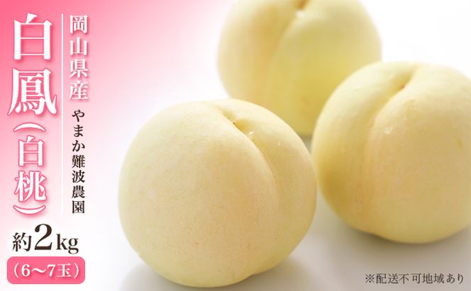 桃 【 2026年 先行予約】 岡山県産 白鳳 （ 白桃 ） 約2kg（6～7玉） 《2026年7月上旬～中旬頃出荷》 白桃 岡山 はくとう フルーツ 果物 先行予約 数量限定 期間限定 里庄町 モモ もも 