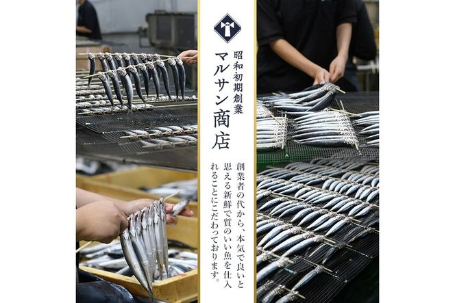＜訳あり＞黄金いわし (60尾以上) 黄金 いわし イワシ 丸干し 魚 海鮮 冷凍 おつまみ 小分け【GX002】【(有)マルサン商店】