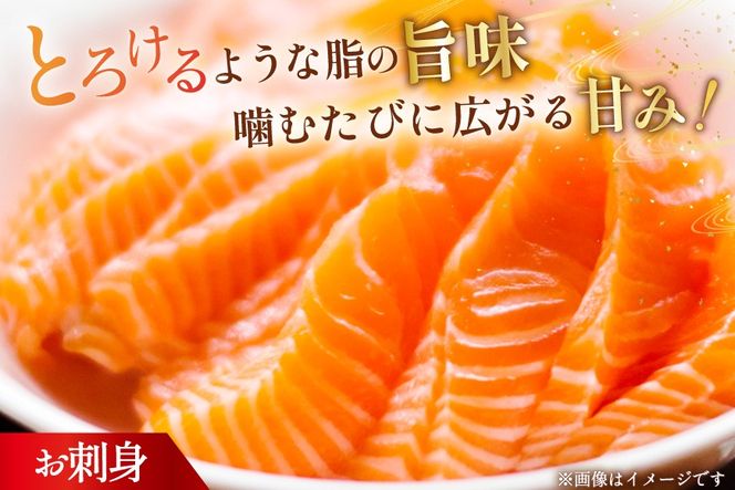 訳あり サーモン 刺身 トロ ハラス フィーレ 総重量4kg [足利本店 宮城県 気仙沼市 20565969] 魚 魚介類 海鮮 さけ サケ シャケ 鮭 お刺し身 刺し身 はらす 鮭ハラス 個包装 骨取り 魚介 小分け 生食用 真空パック