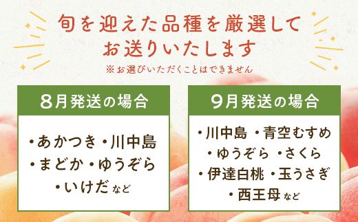 FYN9-732 ≪2026年先行予約≫ ご家庭用 9月発送 山形県産 品種おまかせ 白桃 約3kg(7～13玉) 2026年9月上旬から順次発送 硬い はくとう 桃 もも モモ 果物 くだもの 夏果実 フルーツ 訳あり 農業者支援 家庭用 自宅用 産地直送 山形県 西川町 月山