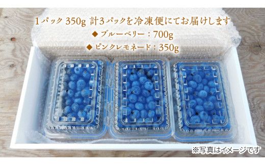 【 数量限定 】 冷凍 完熟 ブルーベリー 700g と ピンクレモネード 350g の 詰合せ セット 食べ比べ (1パックあたり 350g )  ベリー 甘い 甘酸っぱい 完熟 新鮮 フルーツ 果物 くだもの 贈り物 贈答 ギフト 国産 茨城 農園 産地直送 [AL004us]