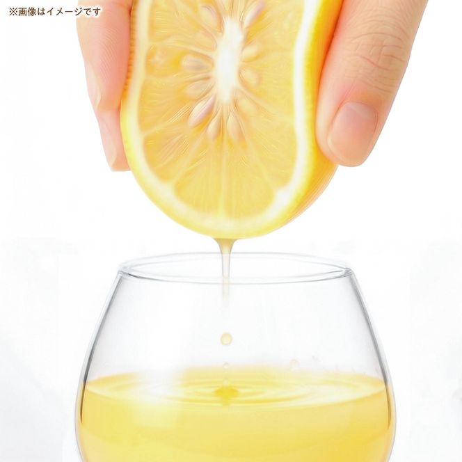 高知県 土佐市産 KONATSU JUICE KJ 100％ 500ml (1本) 小夏ジュース ジュース 果物 フルーツ フルーツジュース お取り寄せ ドリンク 高知県 土佐市【川野果樹園】 [BQCB002]
