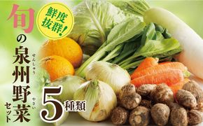 099H4172 旬の野菜セット 詰め合わせ 5種類 国産 新鮮 お試し おまかせ お楽しみ
