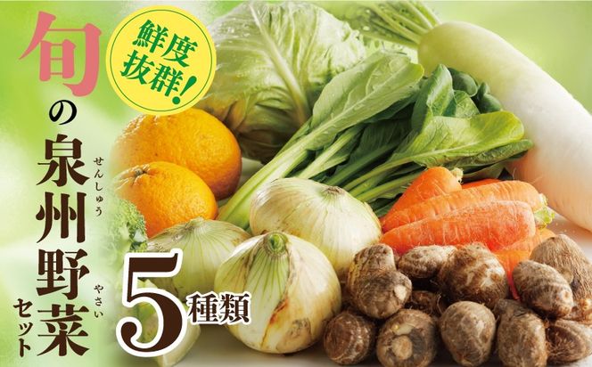 099H4172 旬の野菜セット 詰め合わせ 5種類 国産 新鮮 お試し おまかせ お楽しみ