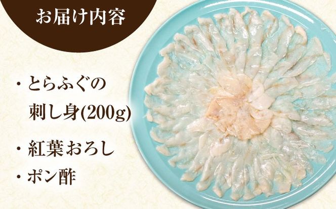 【新鮮！贅沢おつまみ】とらふぐ 刺身 トラフグのてっさ（大皿/200g）×1枚/ とらふぐ 刺身 紅葉おろし トラフグ ふぐ フグ 河豚 刺し身 ふぐ刺し / 南島原市 / 株式会社 FUKUNOTANE[SFJ037]