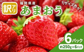 訳あり いちご 2027年2月中旬より発送 あまおう サイズ色々 6パック 約1.5kg 果物 フルーツ 福岡県産あまおう※配送不可：離島