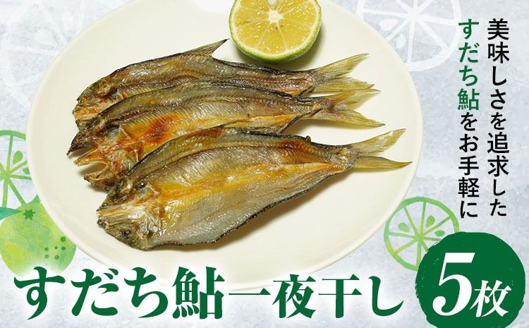 すだち鮎一夜干し 20~25cm×5枚 冷凍 有限会社岩崎商店 [30日以内に出荷予定(土日祝除く)]│ 徳島県産 あゆ アユ 魚 魚介 川魚 塩焼き 甘露煮 徳島県 佐那河内村---sanagouchi_ist_1_5mi---