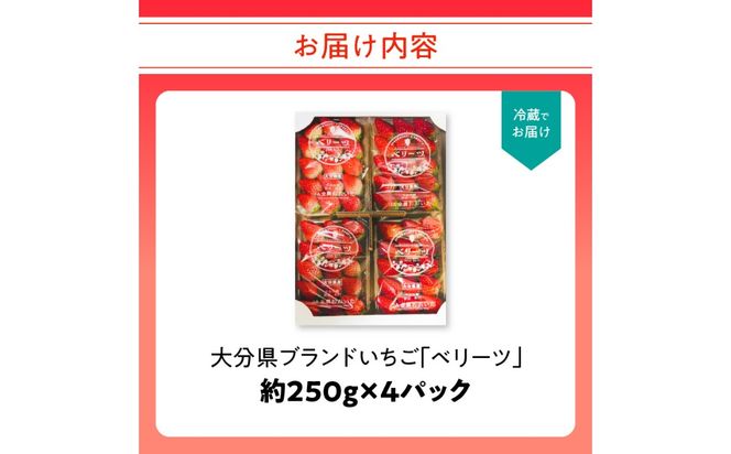 【C07010】【先行予約※2025年2月下旬より発送開始】大分県ブランドいちご「ベリーツ」約250g×4パック