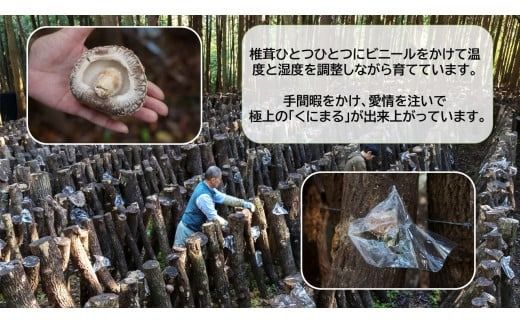 国東の厳選肉厚カップ乾し椎茸 くにまる 特大1・小2_2547R