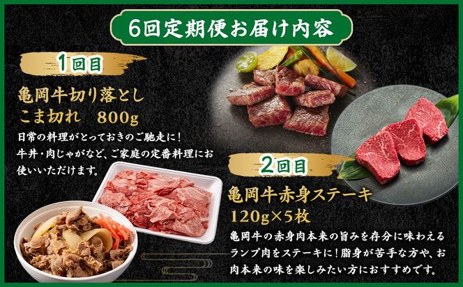 【6回定期便】ブランド和牛 亀岡牛 6ヵ月 お楽しみセット【計4.05kg】1回 300g～1050g 和牛 京都いづつ屋 厳選 赤身ステーキ サイコロステーキ ローストビーフ 和牛 黒毛和牛 手ごねハンバーグ すき焼き 牛肉 冷凍 丹波産 ふるさと納税 牛肉 定期便
