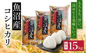 令和7年度産【十日町産】 魚沼産コシヒカリ15kg 米 お米 こしひかり 精米 新潟 