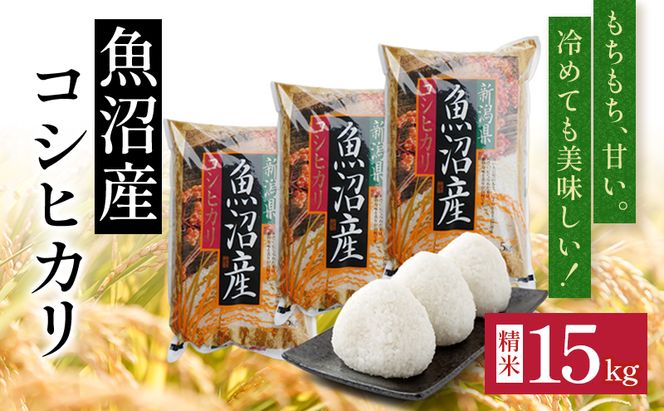 令和7年度産【十日町産】 魚沼産コシヒカリ15kg 米 お米 こしひかり 精米 新潟 