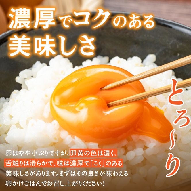 【3ヶ月定期便】【山ちゃん家の生みたて葉酸たまご】赤玉元気卵（30個入り）［132Y05-T］