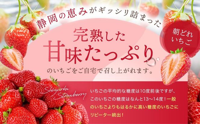 【2027年 先行予約】 農家直送！甘くて大好評　静岡いちご　DX　高糖度　1100g 程度（270～280g×4パック）甘くて地元大人気！やみつきリピーター多数　御前崎産　数量限定 222232_CR003