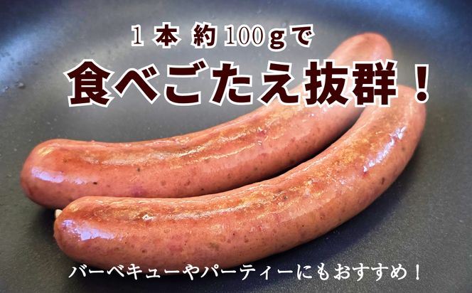 北海道産 黒毛和牛 100％ こぶ黒 BIG フランクフルト 4本 入り 【LC】 和牛 牛肉 ソーセージ 冷凍