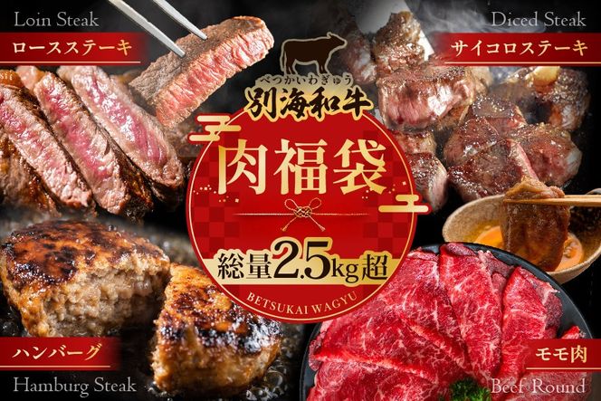 北海道 別海町 別海和牛 肉 福袋 総量 2.5kg超（モモ肉600g ハンバーグ980g（140g×7個） サイコロステーキ500g ロースステーキ500g）【FF0000028】