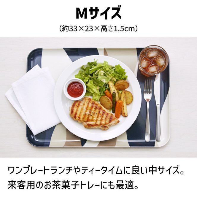 TATSU-CRAFT マグネットトレー M 33cm ウェーブ すべり止め付き ［Tk1072］ 303446_DA90810