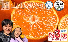 みかん 【2026年11月中旬より順次配送】山北みかん 約3kg（露地・Ｓ～Ｍサイズ）- 果物 フルーツ 温州みかん ミカン 蜜柑 柑橘 甘い 送料無料 ギフト のし 贈り物 th-0028