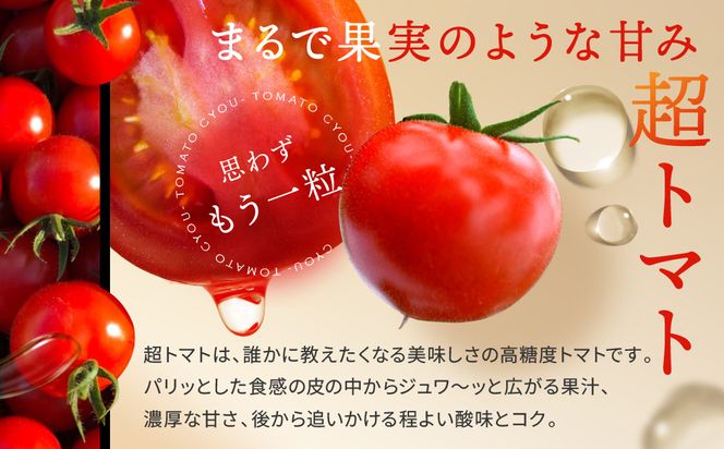 出雲の國からの贈り物～トマトを超えた超トマト２kg 322032_AT002