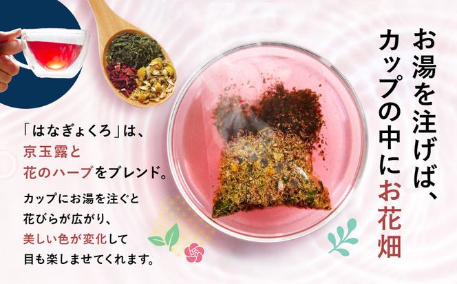 【京都ぎょくろのごえん茶】4色の玉露ハーブティー はなぎょくろ 飲み比べセット［ 京都 お茶 ハーブブレンド 玉露 ぎょくろ 人気 おすすめ 飲み比べ プレゼント ギフト お取り寄せ 通販 送料無料 ふるさと納税 ］ 261009_A-UZ004